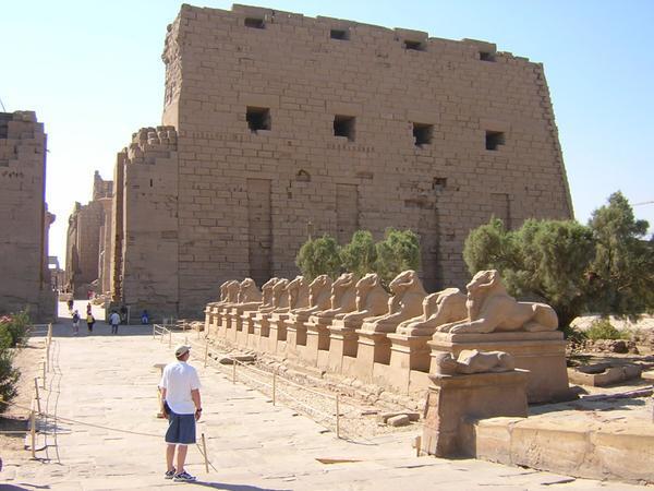 David looking at one line of sphinxes at the entrance to Karnak Temple