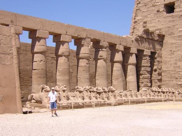 David with another row of sphinxes at Karnak Temple