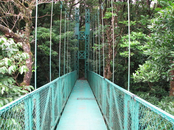 One of the suspended bridges