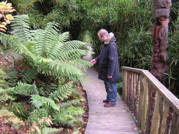 David in the Lost Gardens of Heligan