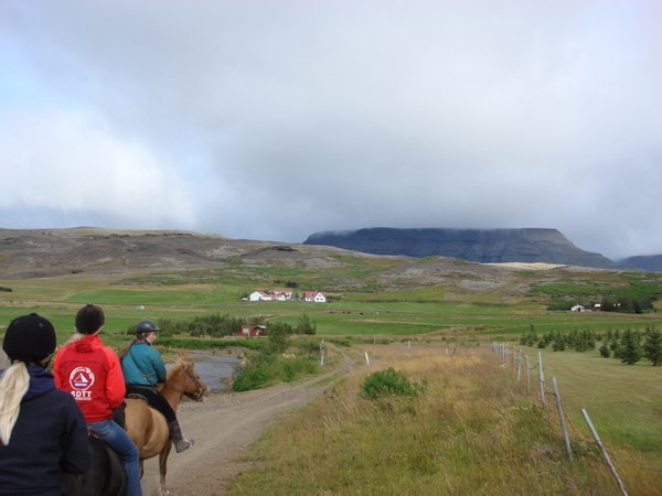 RIDING IN ICELAND
