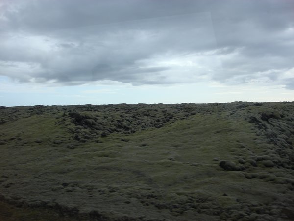 MOSS COVERED LAVA FIELDS
