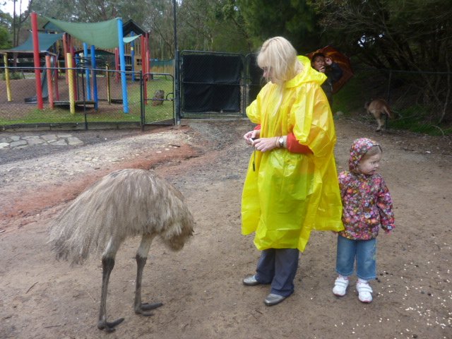 Emu and me and you