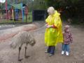 Emu and me and you