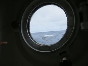 A ROOM WITH A VIEW OF WHALES 