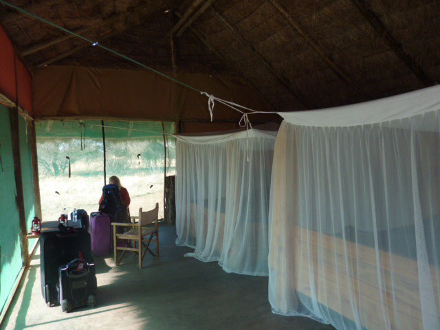Our private lodge at Tarangire Park, Tanzania