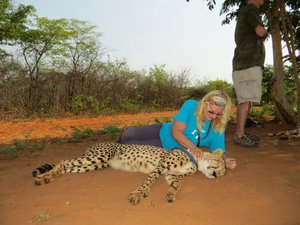 Yes, it's a cheetah 