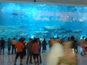 huge aquarium