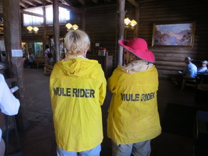 Mule Riders Grand Canyon Style