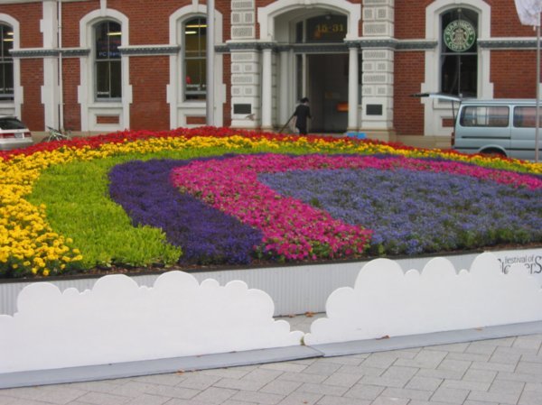 Colourful beds