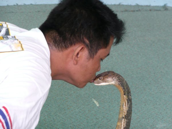 Jimmy kissing the King Cobra. Ting tong!!