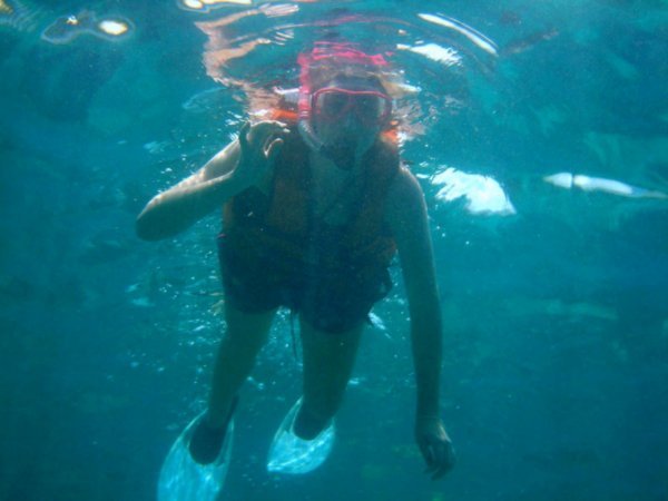 Shan Snorkeling