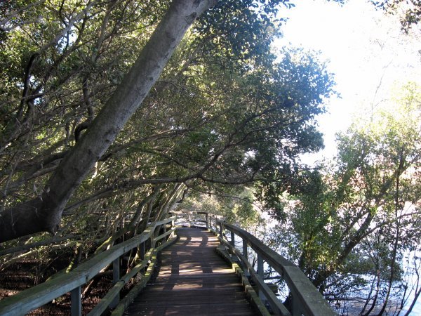 Botanical gardens walkway