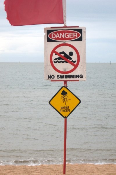 Jellyfish warning