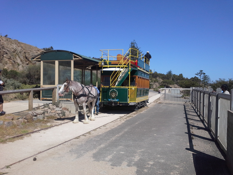 Horse drawn tram.
