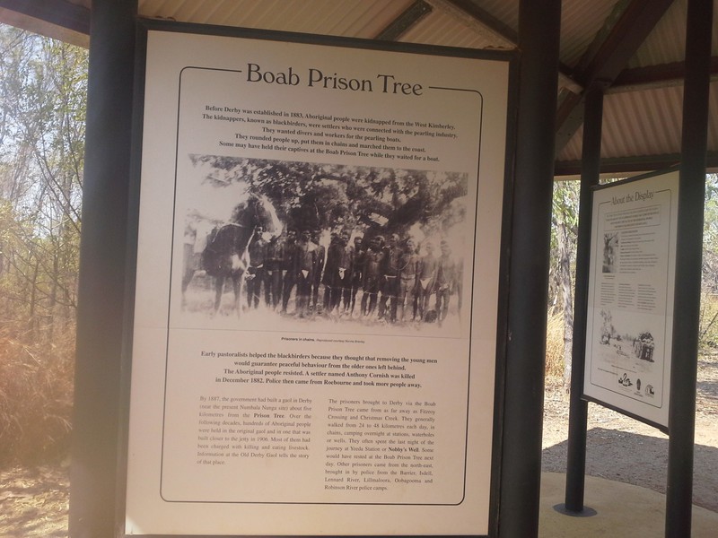 Boab Prison Tree history.