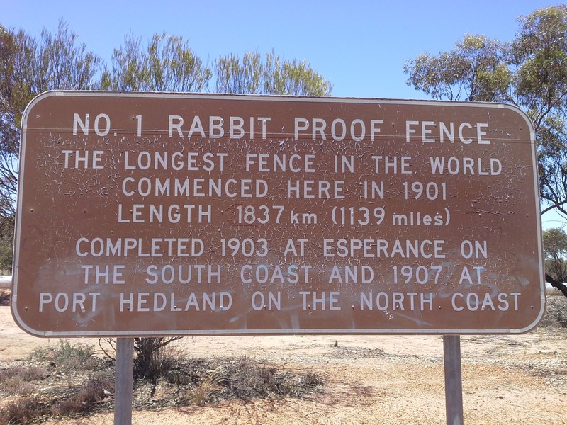 Rabbit Proof fence info 1