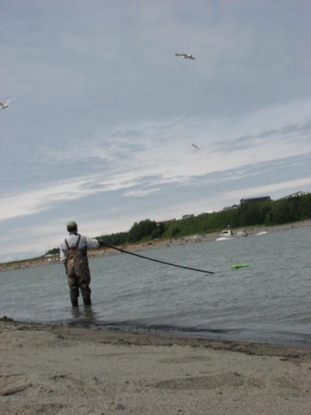 Fishing with the Gulls