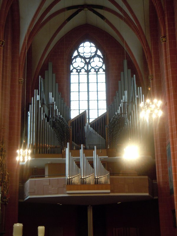 Dom Organ