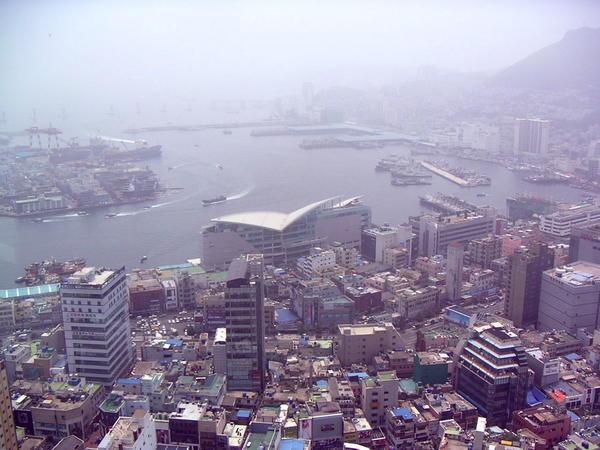 The Harbor from Busan Tower