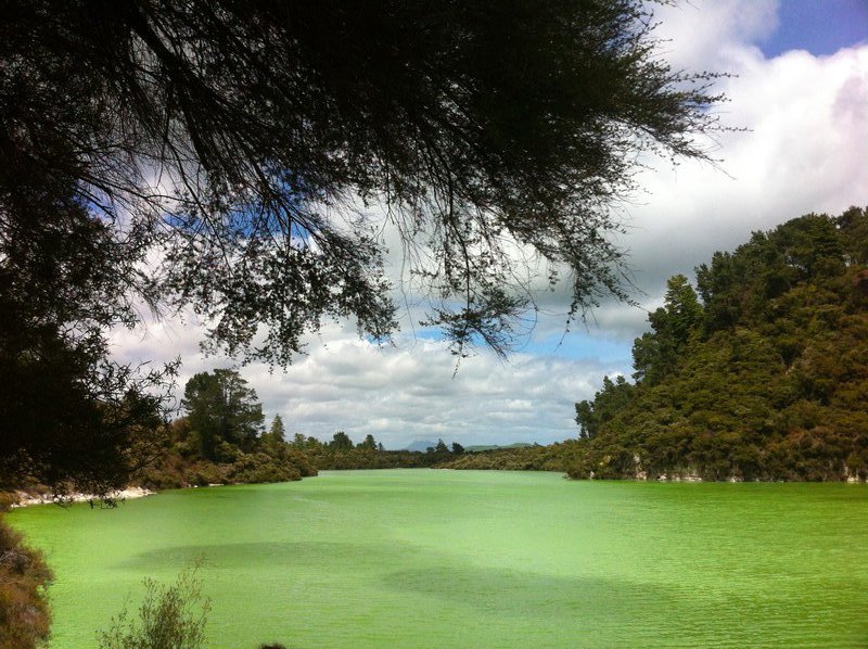 Green Waters