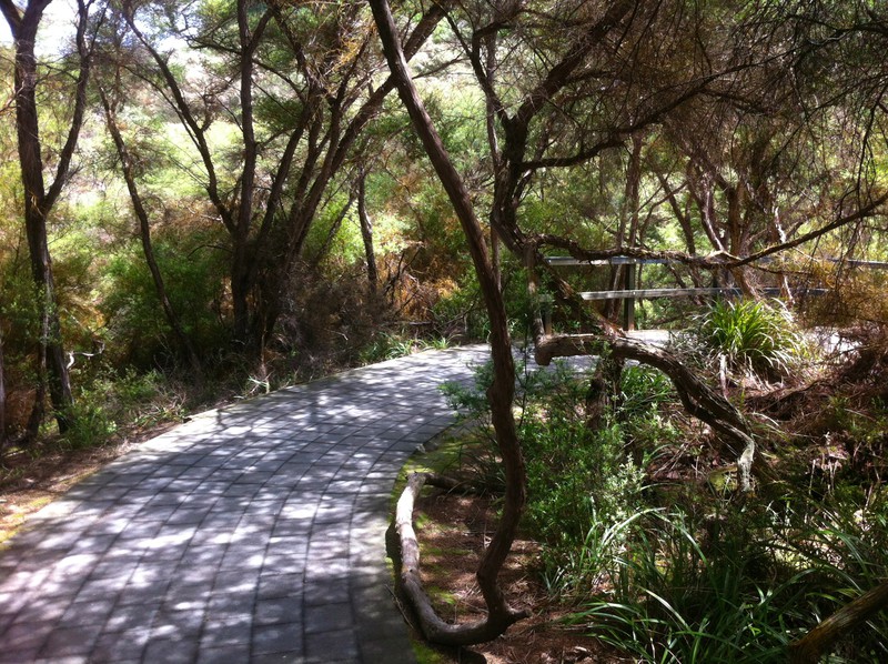 Pathway in the Reserve 