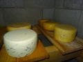 The Cheese Cellar 