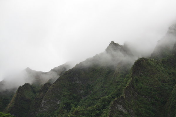Cloud-covered mountains