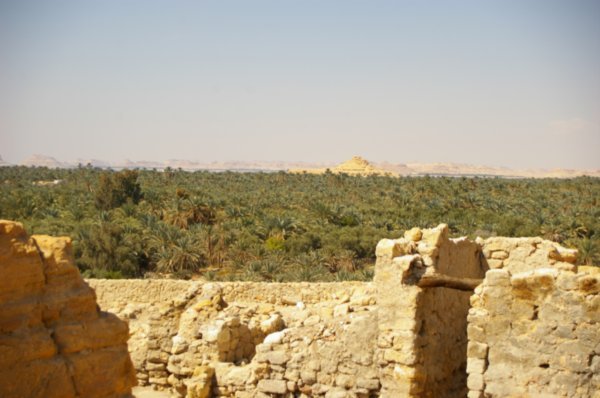 View of the Oasis