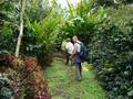This is the coffee plantation!