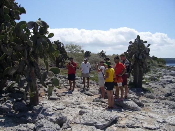 Plazas Island - spotting the land iguanas
