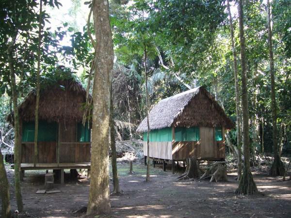 The accommodation in the jungle. 