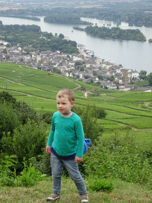View across the Rhein