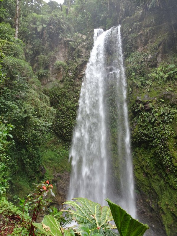 Waterfall in Boquete