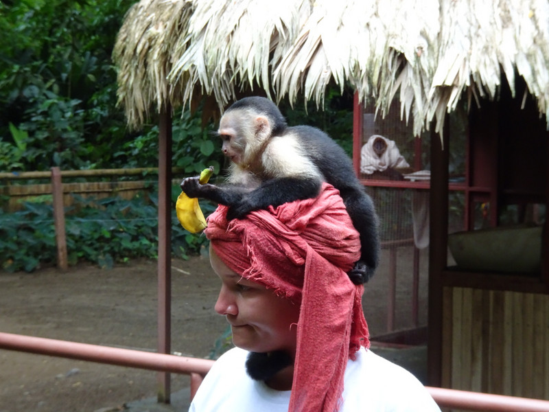 I think you have a monkey on your head