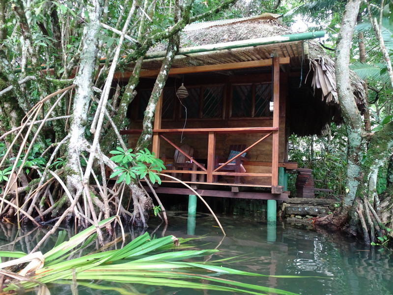 Or hut in the jungle