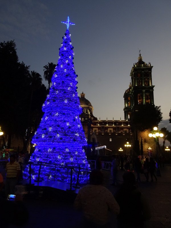Oaxaca Christmas tree