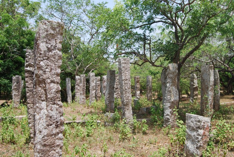 Moonstone Anuradaphura