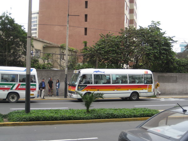 Public Transport?, Lima