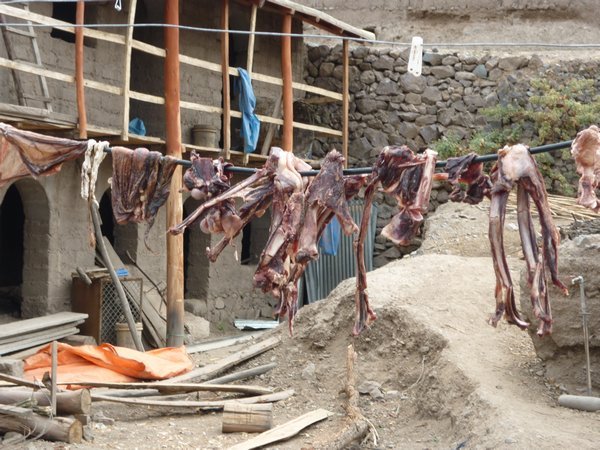 Hanging your meat out to dry