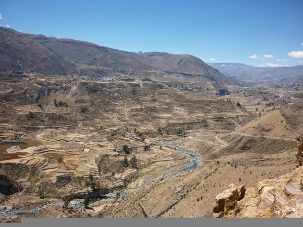 Inca Terraces, Colca Canyon