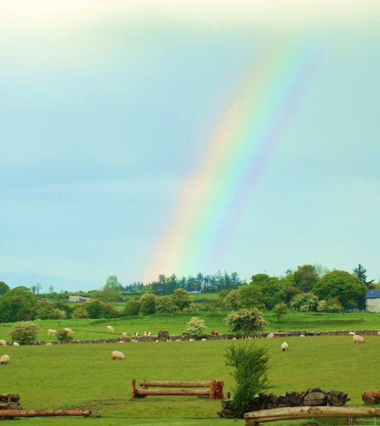 Irish Rainbow