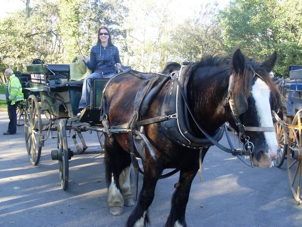 Me with the Horse and Cart