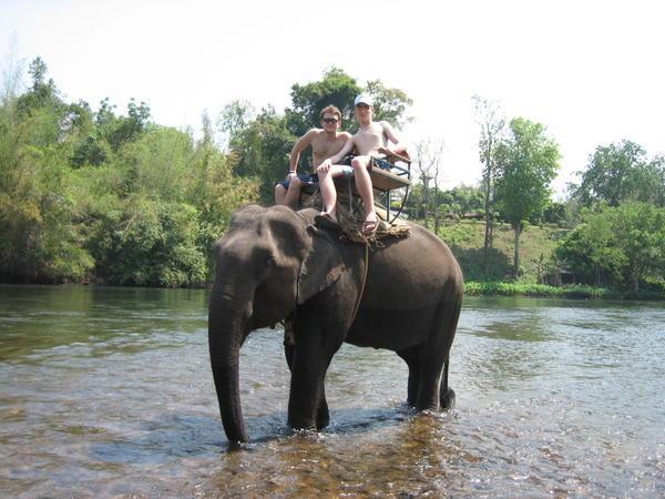 Just chillin'....on a freaking ELEPHANT!!!!!!!!