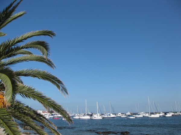 Yachts of Punta del Este