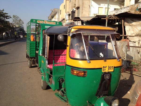 Canine Rickshaw Wallah