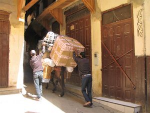 delivery donkey