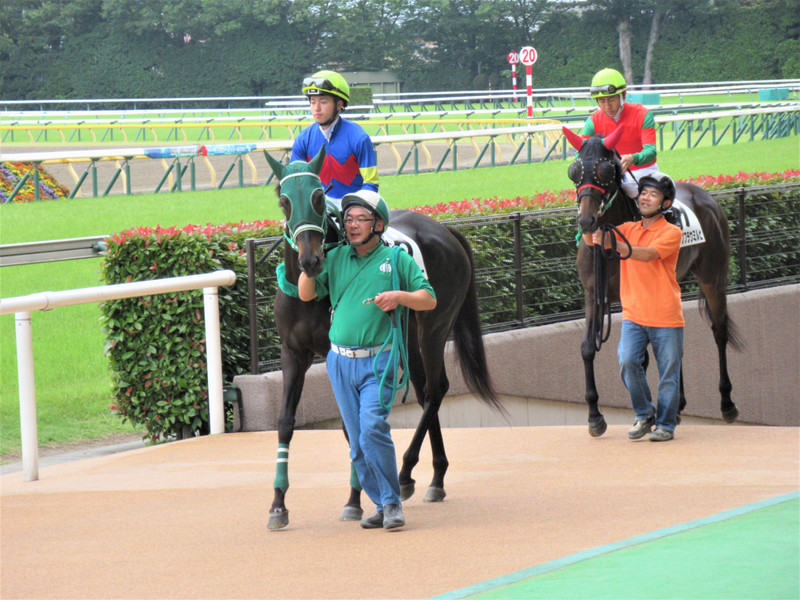 being led onto the track
