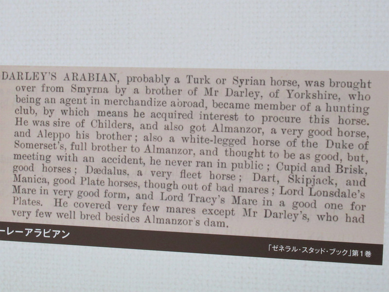 Darley Arabian