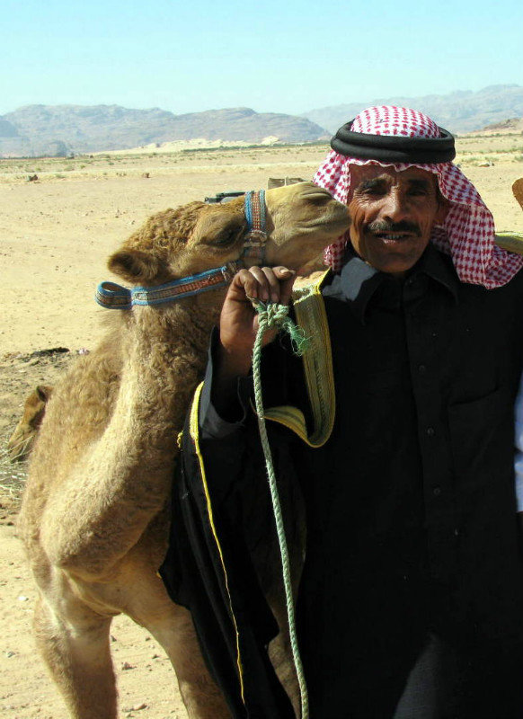 camel love